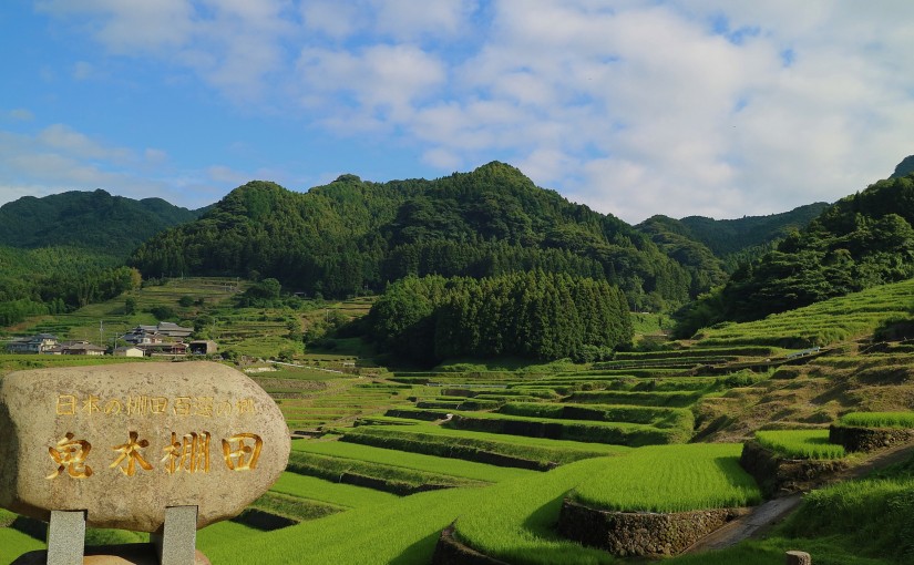 Terraced rice fields