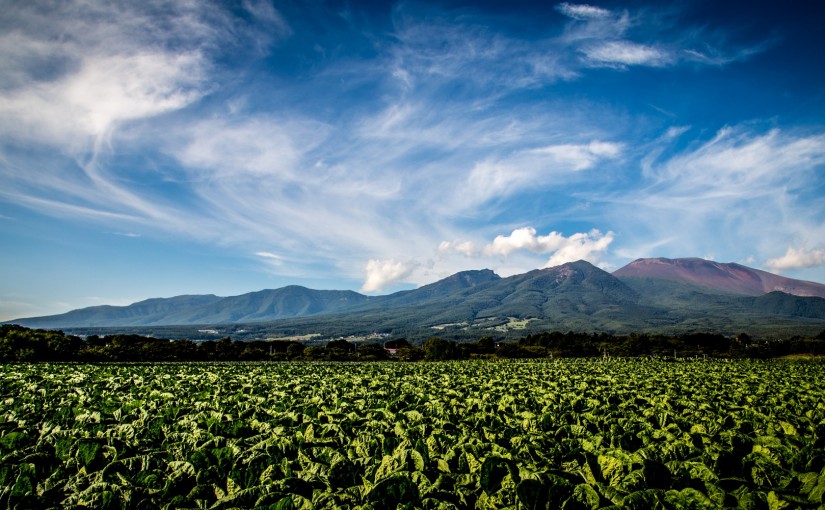 Nagano ASAMA