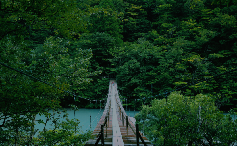 Dream Suspension Bridge